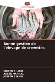 Bonne gestion de l'élevage de crevettes