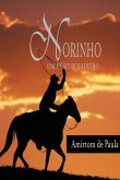 Norinho (eBook, PDF)