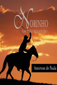 Norinho (eBook, PDF) - de Paula, Amiltom