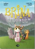 Brina i la Banda del Sol Felí Brina i la Banda del Sol Felí