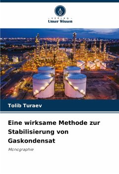 Cover Eine wirksame Methode zur Stabilisierung von Gaskondensat