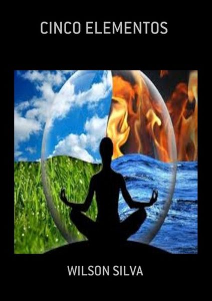 Cinco Elementos (eBook, PDF)