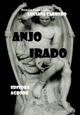 Anjo Irado (eBook, PDF)