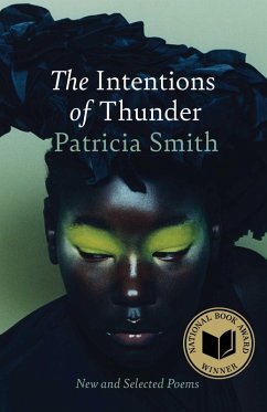 The Intentions of Thunder (eBook, ePUB) - Smith, Patricia