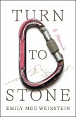 Turn to Stone (eBook, ePUB)