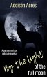 By The Light Of The Full Moon (eBook,... - Bild 1