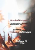 Fica Espírito Santo (eBook, ePUB)