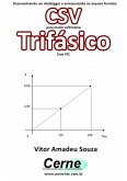 Desenvolvendo Um Datalogger E Armazenando No Arquivo Formato Csv Para Medir Voltímetro Trifásico Com Pic (eBook, PDF)