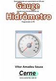 Desenvolvendo Um Supervisório Em Vb Com Gauge Angular Para Monitoramento De Hidrômetro Programado No Pic (eBook, PDF)