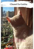 Chanel La Gatita (eBook, ePUB)