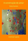 A Construção Do Amor (eBook, PDF)