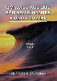 Um Aviso Aos Que São Semelhantes À Onda Do Mar (eBook, ePUB)