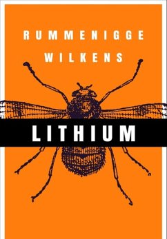 Cover Lithium (eBook, PDF)