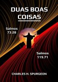Duas Boas Coisas (eBook, ePUB)