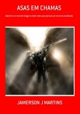 Asas Em Chamas (eBook, ePUB)
