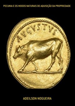 Pecunia E Os Modos Naturais De Aquisição Da Propriedade (eBook, ePUB) - Nogueira, Adeilson