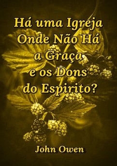 Cover Há Uma Igreja Onde Não Há A Graça E Os Dons Do Espirito? (eBook, ePUB)