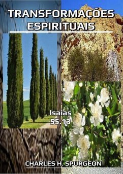 Transformações Espirituais (eBook, ePUB) - Dutra, Silvio
