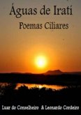 Águas De Iratí (eBook, PDF)