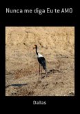 Nunca Me Diga Eu Te Amo (eBook, PDF)