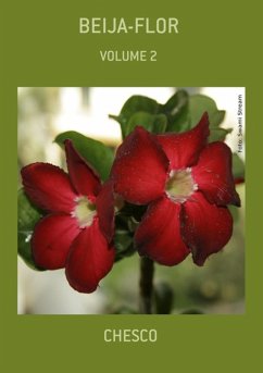 Cover Beija-flor (eBook, PDF)