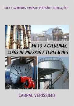 Cover Nr-13 Caldeiras, Vasos De Pressão E Tubulações (eBook, ePUB)