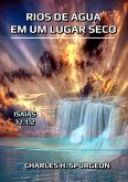 Rios De Água Em Um Lugar Seco (eBook, ePUB)