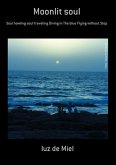 Moonlit Soul (eBook, PDF)