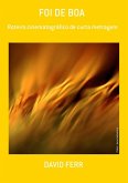 Foi De Boa (eBook, ePUB)