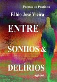 Entre Sonhos E Delírios (eBook, PDF)