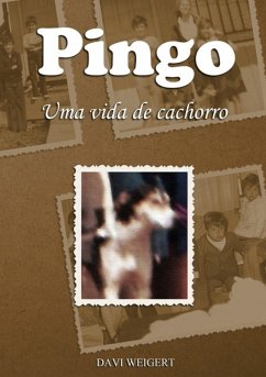Cover Pingo (eBook, PDF)