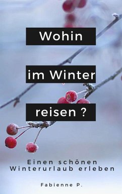 Cover Wohin im Winter reisen ? (eBook, ePUB)