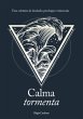 Calma Tormenta (eBook, ePUB) - Bild 1