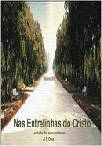 Nas Entrelinhas Do Cristo (eBook, ePUB)