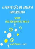 A Perfeição De Amar O Imperfeito (eBook, PDF)