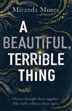 Cover A Beautiful, Terrible Thing