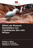Effets de Phoenix Dactylifera sur l'épididyme des rats Wistar Effets de Phoenix Dactylifera sur l'épididyme des rats Wistar