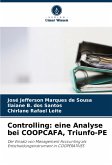 Controlling: eine Analyse bei COOPCAFA, Triunfo-PE