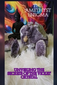 Cover The Amethyst Enigma