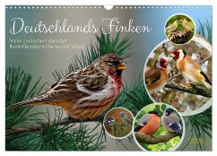 Deutschlands Finken (Wandkalender 2026 DIN A3 quer), CALVENDO Monatskalender Cover Deutschlands Finken (Wandkalender 2026 DIN A3 quer), CALVENDO Monatskalender