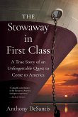 The Stowaway in First Class The Stowaway in First Class