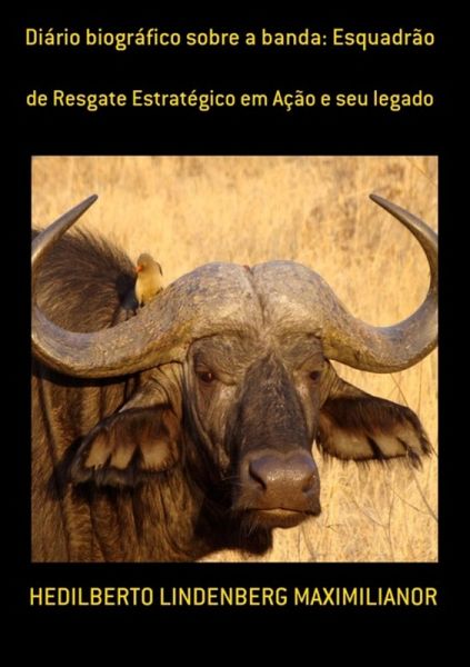 Diário Biográfico Sobre A Banda: Esquadrão (eBook, PDF)