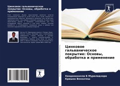 Cover Cinkowoe gal'wanicheskoe pokrytie: Osnowy, obrabotka i primenenie