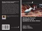 Efectos de Phoenix Dactylifera en el Epidídimo de Ratas Wistar