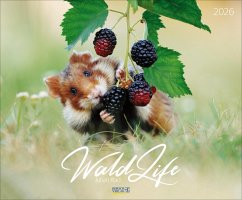 Cover WaldLife 2026