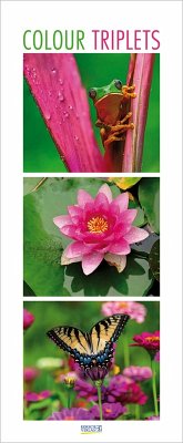 Cover Colour Triplets 2026
