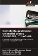 Contabilità gestionale: un'analisi... - Bild 1
