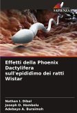 Effetti della Phoenix Dactylifera sull'epididimo dei ratti Wistar Effetti della Phoenix Dactylifera sull'epididimo dei ratti Wistar