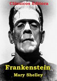 Frankenstein (eBook, PDF)