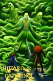 Wizard of Gahaenel (eBook, ePUB)